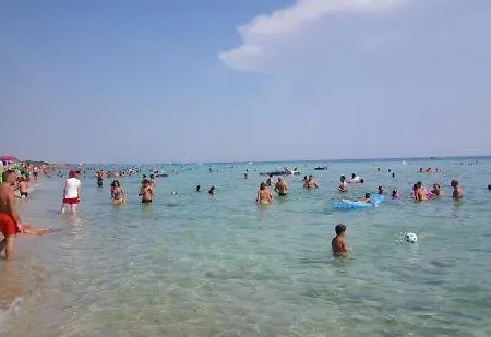 Vico Gelsomini *